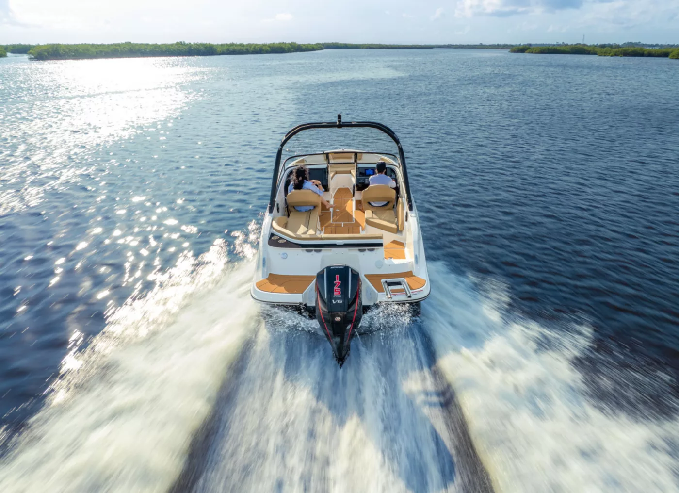Bayliner V20